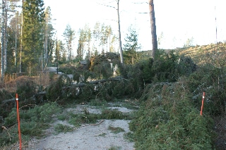 29.12.2011 Myrskyn tuhoa Vihtijärvellä