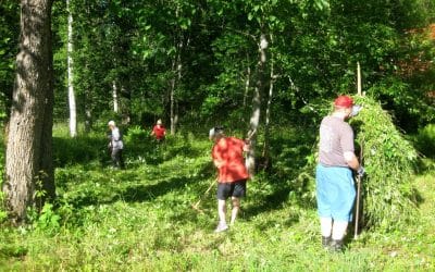 19.07.2012 Niittotalkoot Hiiskulassa kyläyhdistyksen hyväksi