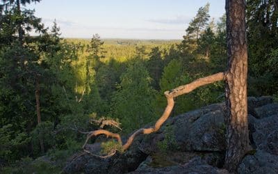 Rokokallio kutsuu retkelle sunnuntaina 4. lokakuuta