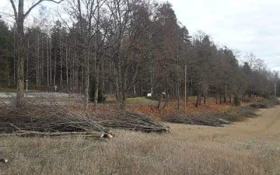 Koulunummentien maisema avattiin talkoilla