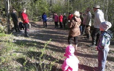 Vihtijoki on suomalaisen jokivesistön mallikohde