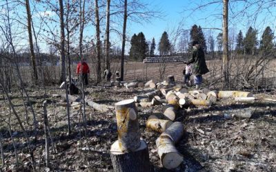 Vihtijärvelle rakennetaan laavu – talkoolaisia tarvitaan