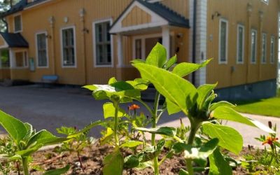 Vihtijärven kouluun haetaan luokanopettajia